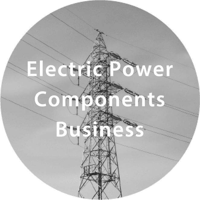 Electric Power Components Business
